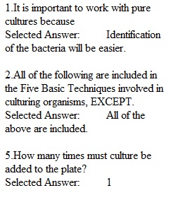 Endospore and Capsule Stain